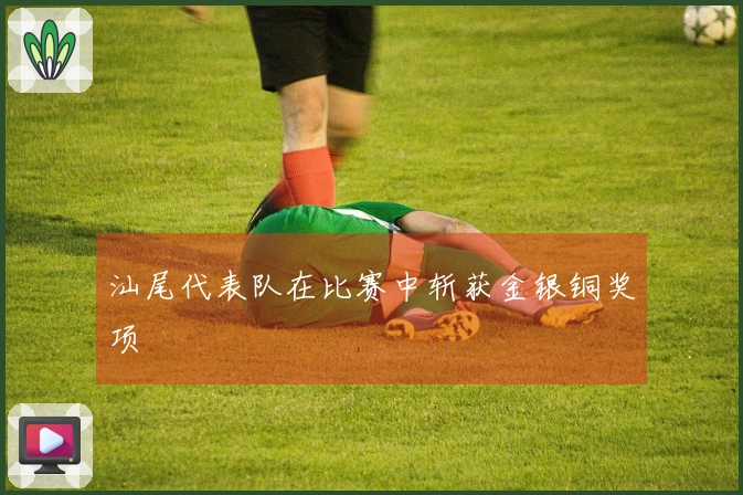 汕尾代表队在比赛中斩获金银铜奖项