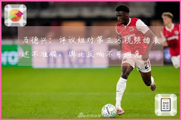 马德兴：评议组对第三方视频的表述不准确，舆论反响不可避免